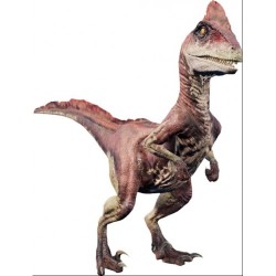 Archeologické vykopávky dinosaurov - Deinonychus